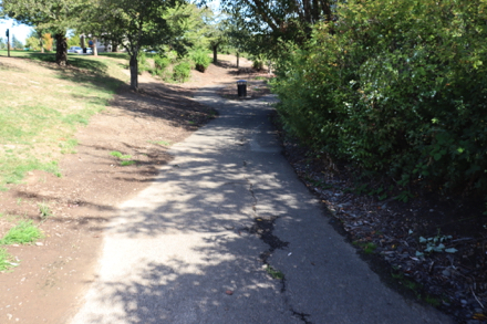 Paved trail with cracks